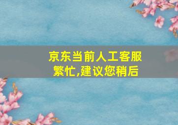 京东当前人工客服繁忙,建议您稍后