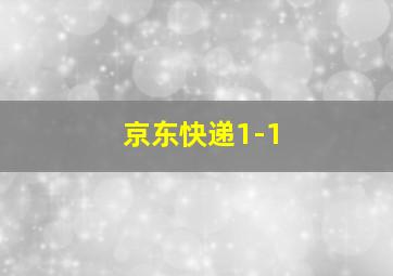 京东快递1-1