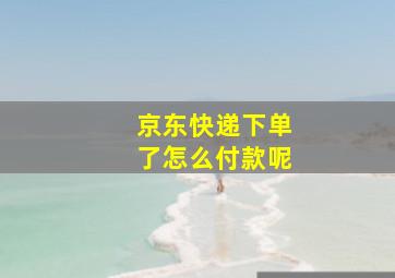 京东快递下单了怎么付款呢