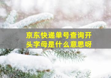 京东快递单号查询开头字母是什么意思呀