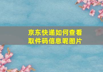 京东快递如何查看取件码信息呢图片