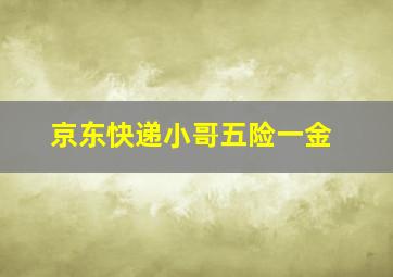 京东快递小哥五险一金