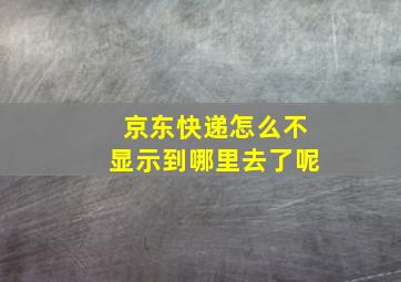 京东快递怎么不显示到哪里去了呢