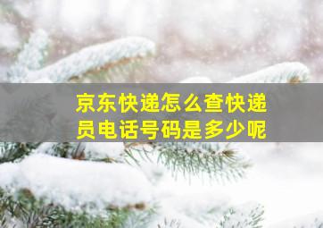 京东快递怎么查快递员电话号码是多少呢