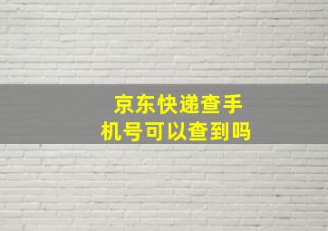 京东快递查手机号可以查到吗