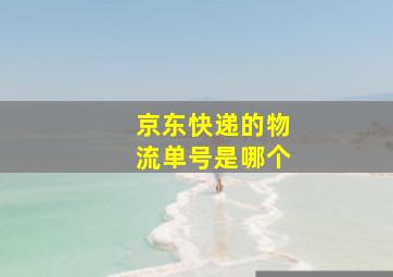 京东快递的物流单号是哪个