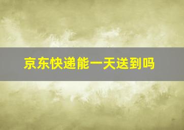 京东快递能一天送到吗