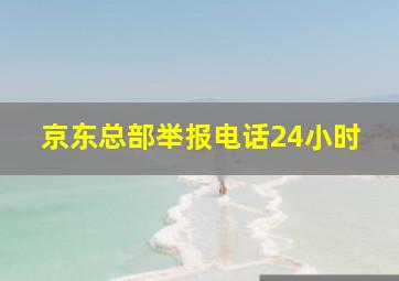 京东总部举报电话24小时