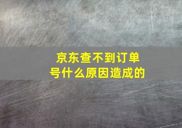 京东查不到订单号什么原因造成的