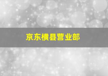 京东横县营业部