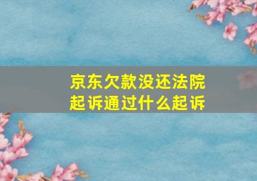 京东欠款没还法院起诉通过什么起诉