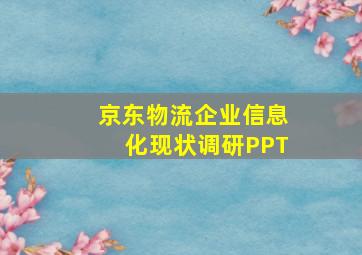 京东物流企业信息化现状调研PPT