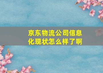 京东物流公司信息化现状怎么样了啊