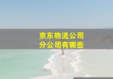 京东物流公司分公司有哪些