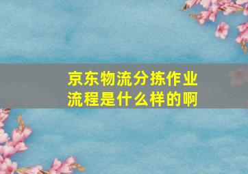 京东物流分拣作业流程是什么样的啊