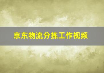 京东物流分拣工作视频