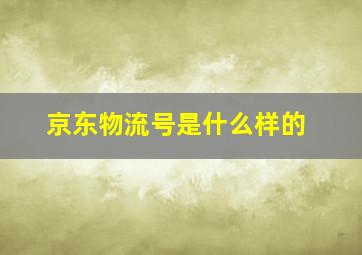 京东物流号是什么样的