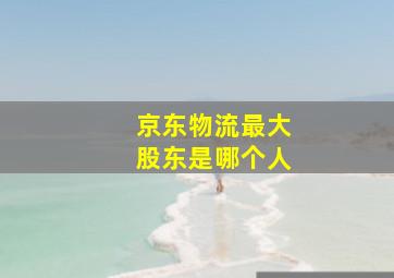 京东物流最大股东是哪个人