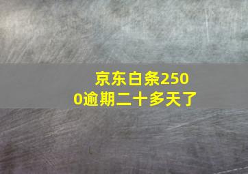 京东白条2500逾期二十多天了