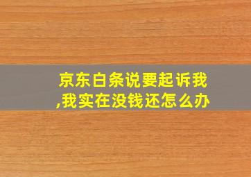 京东白条说要起诉我,我实在没钱还怎么办