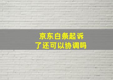 京东白条起诉了还可以协调吗