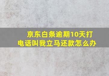 京东白条逾期10天打电话叫我立马还款怎么办