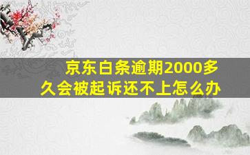 京东白条逾期2000多久会被起诉还不上怎么办