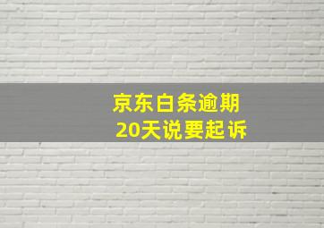 京东白条逾期20天说要起诉