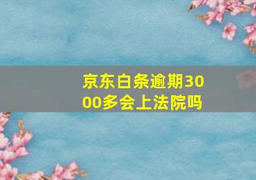 京东白条逾期3000多会上法院吗