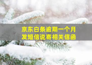 京东白条逾期一个月发短信说寄相关信函