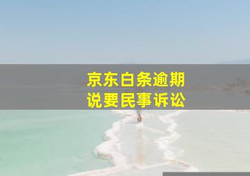 京东白条逾期说要民事诉讼