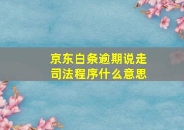 京东白条逾期说走司法程序什么意思