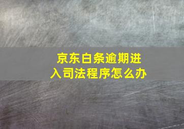 京东白条逾期进入司法程序怎么办