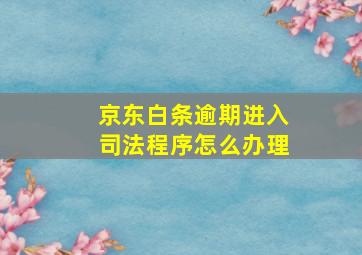 京东白条逾期进入司法程序怎么办理