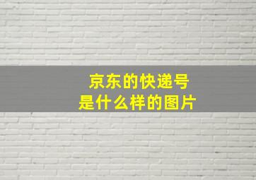 京东的快递号是什么样的图片