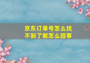 京东订单号怎么找不到了呢怎么回事