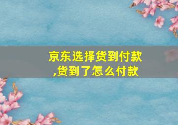 京东选择货到付款,货到了怎么付款