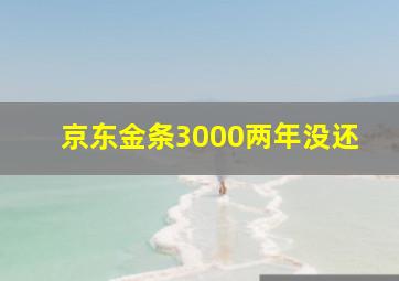 京东金条3000两年没还