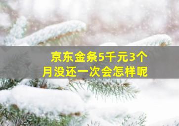 京东金条5千元3个月没还一次会怎样呢