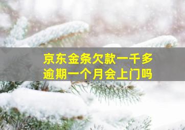 京东金条欠款一千多逾期一个月会上门吗