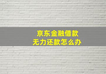 京东金融借款无力还款怎么办