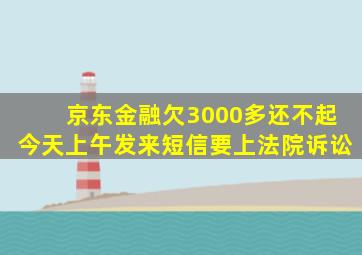 京东金融欠3000多还不起今天上午发来短信要上法院诉讼