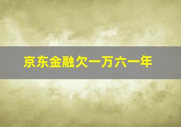 京东金融欠一万六一年