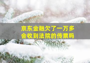 京东金融欠了一万多会收到法院的传票吗