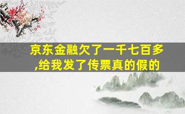 京东金融欠了一千七百多,给我发了传票真的假的