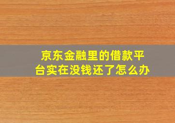 京东金融里的借款平台实在没钱还了怎么办