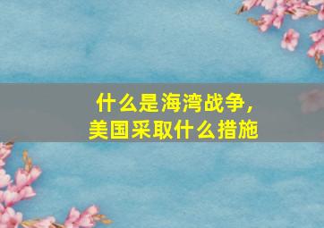 什么是海湾战争,美国采取什么措施