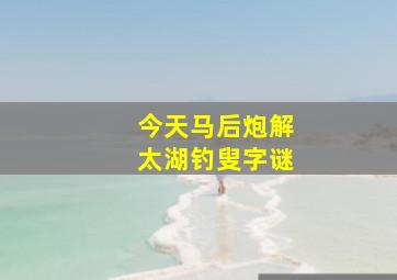 今天马后炮解太湖钓叟字谜