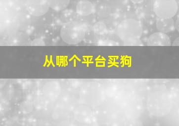 从哪个平台买狗