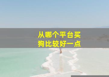 从哪个平台买狗比较好一点